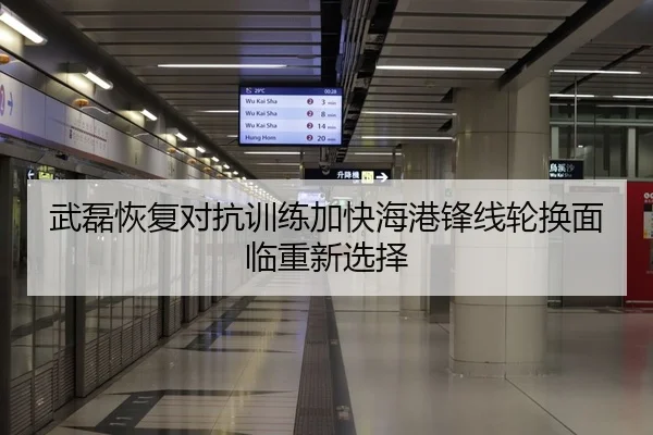 武磊恢复对抗训练加快海港锋线轮换面临重新选择